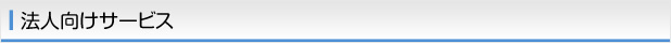 法人向けサービス